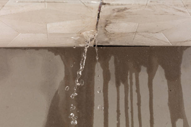 Professional Flood Damage Cleanup technician working in Valrico, FL